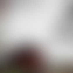 The Old Barn at Theorem Winery by Richard Beard Architects - Calistoga, California