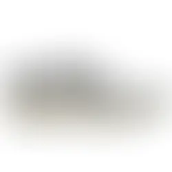 Reviving Retro: The Rise of the Nike P6000