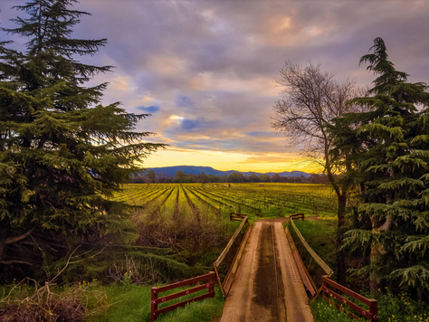 Sangiacomo Wines - A Tradition in Farming, A Legacy in Winemaking