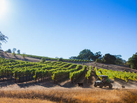 Jordan Vineyard & Winery - The Best Vineyard in North America 2025