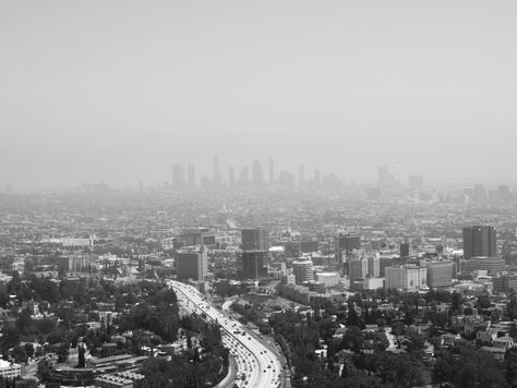 What Are LA’s Best Rehab Centers For High-Performance Athletes?