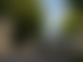 A Century in Motion - The Rolls-Royce Phantom Cenentary Private Collection