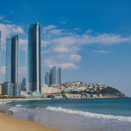 Beginner's Guide to Exploring Busan Like a Local