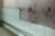 Mold Clearance Testing: A Key Step in Ensuring Complete Mold Removal