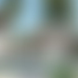 Why Outdoor Precision Is Part of the Modern Luxury Lifestyle