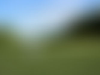 The Smartest Way to Practice Golf Without Leaving Your Property