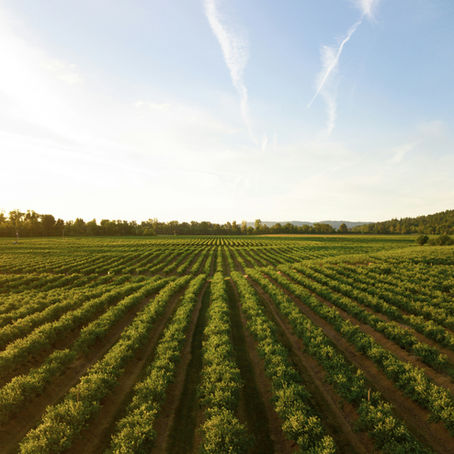 How Land Changes Affect Nearby Farms