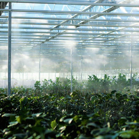 Why Is the Ground Beneath a Greenhouse One of Its Most Powerful — and Least Utilized — Climate Assets?