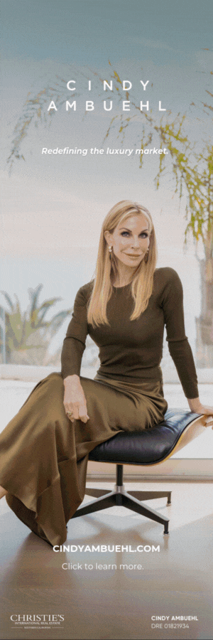 CINDY AMBUEHL-Vertical Web Banner for Elevated Mag.gif