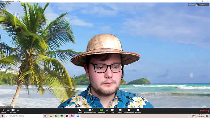 Ten zoom backgrounds to spice up your seminars