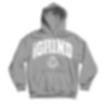 Thumbnail: “CROWN” University Hoodie