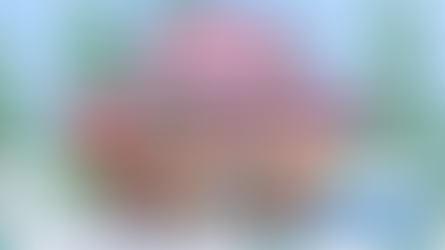 Piggy Payback! 2025 Year-In-Review dev blog