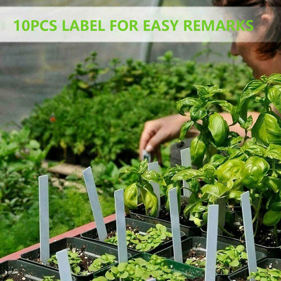 Thumbnail: 4Pcs Mini Greenhouse 12 Compartments Indoor Greenhouse Propagation Greenhouse Nu