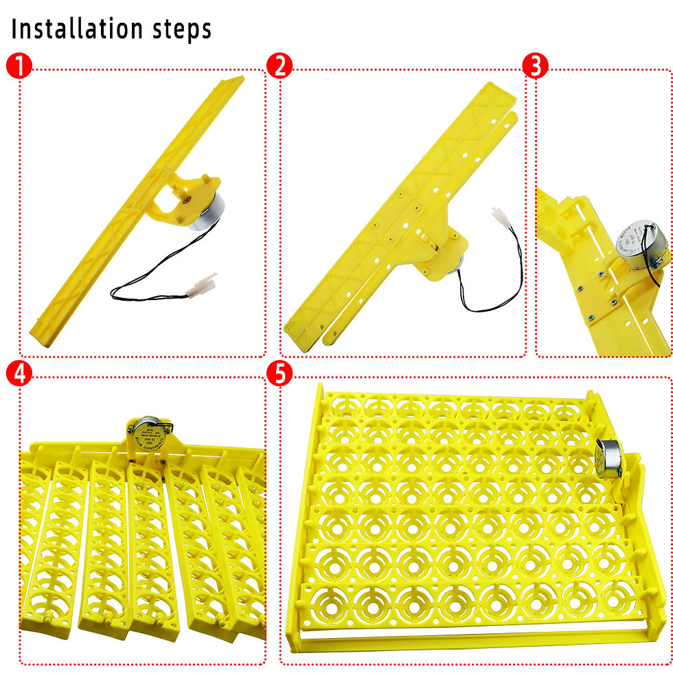 Thumbnail: 56 Eggs Incubator Eggs Automatic Incubator Incubator motor Turn Tray Poultry Inc