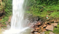 Cachoeira do urubu-rei