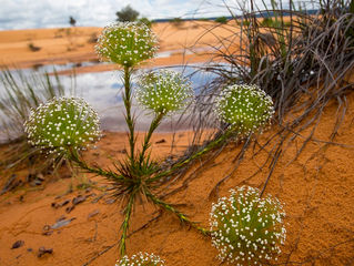 MTur disponibiliza imagens do Tocantins para uso gratuito