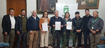 Más de 1.000 árboles nativo se plantarán durante este año en el Cerro Condell de Curicó