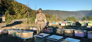 El renacer de las colmenas para la memoria de los bosques