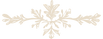 floral divider_edited_edited.png