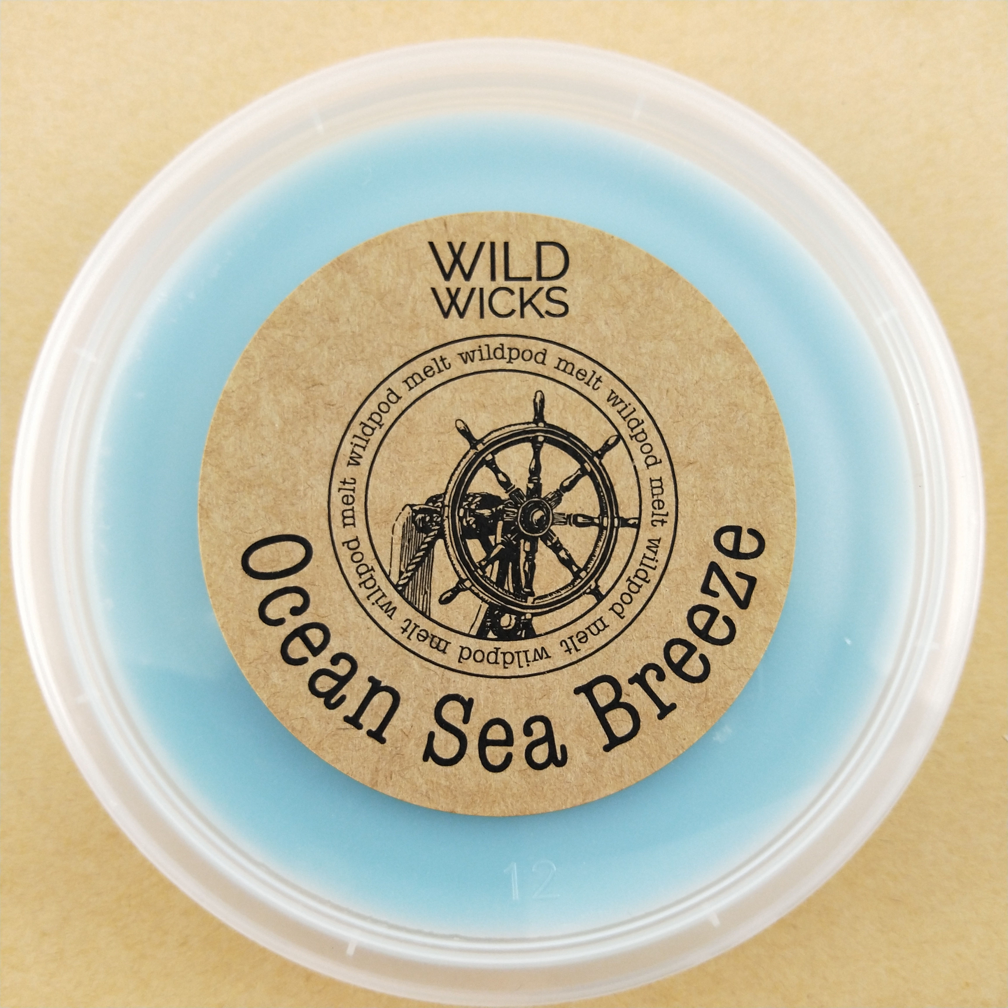 Ocean Sea Breeze Wildpod Soy Wax Melt