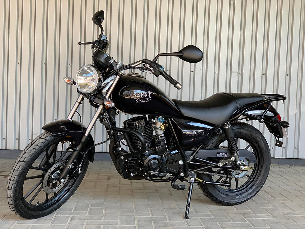 Miniatură: Mototcicleta SENKE 150/8