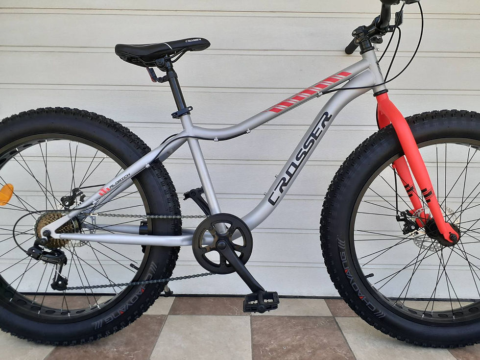 Miniatură: Crosser Aldric 26