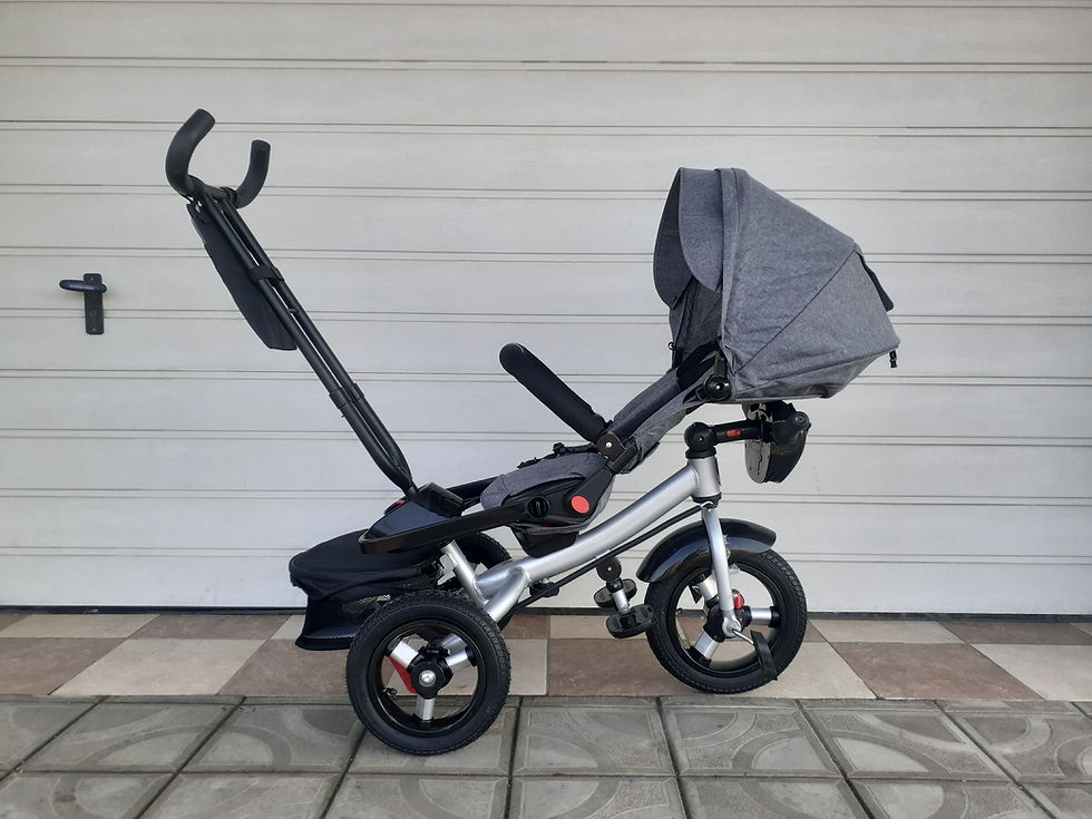 Miniatură: Tricicleta VL 316