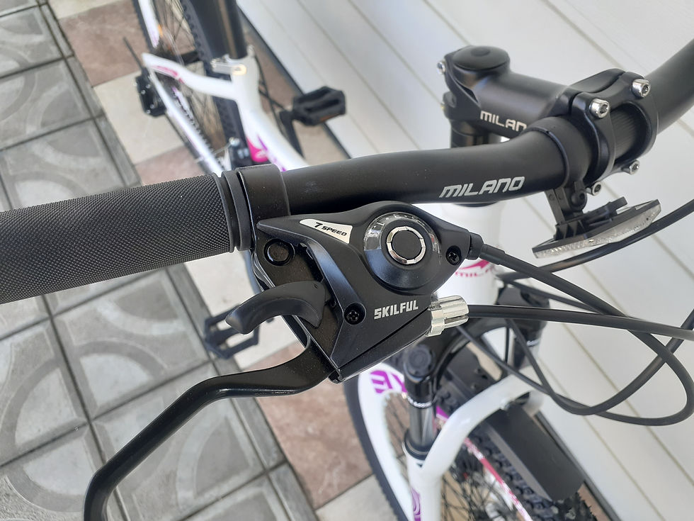 Miniatură: Milano 24