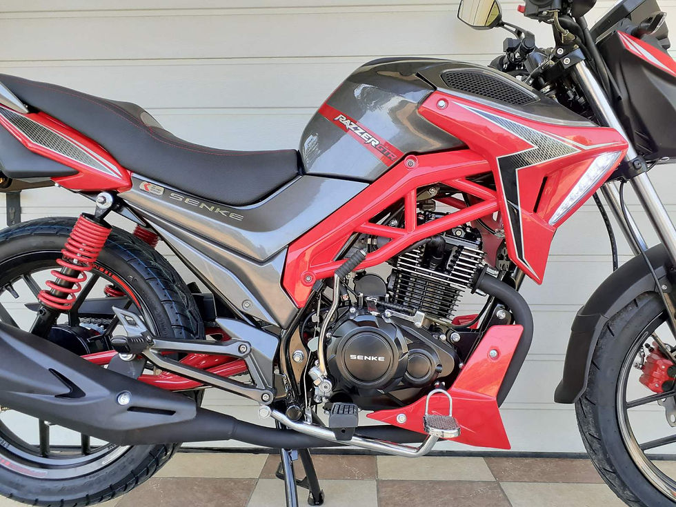 Miniatură: Mototcicleta SENKE 200E