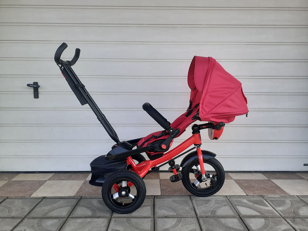Miniatură: Tricicleta VL 316