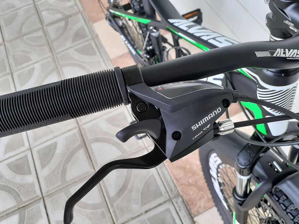 Miniatură: Alvas Silva 24 All