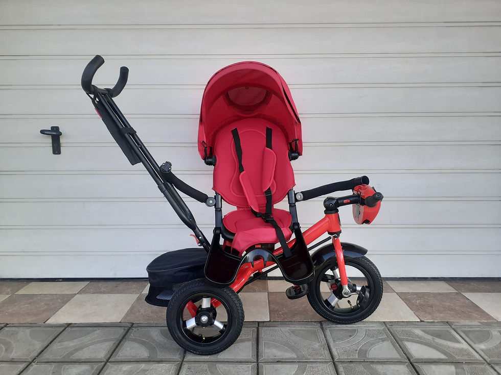 Miniatură: Tricicleta VL 316