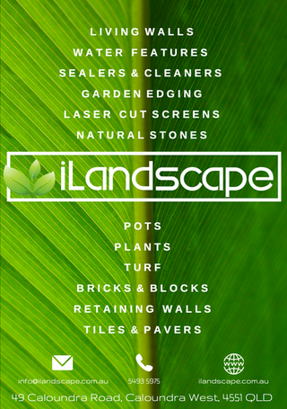 Screen Shot 2020-02-13 at 3.24.35 pm.png