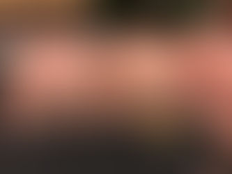 色々お肉のパテ^ ^