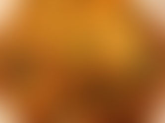 おすすめリゾット!