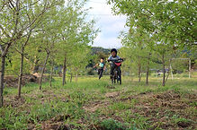 IMG-0172.JPG