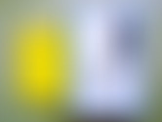 Kapitel 8: Johann Wolfgang Churchill