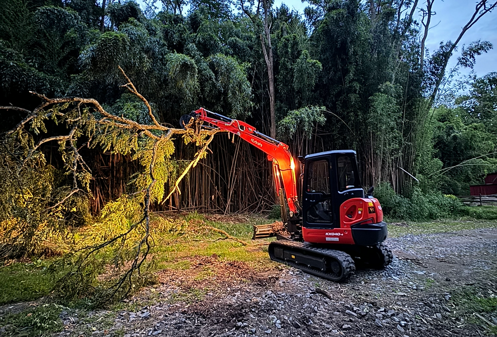 JB Lawn & Landscaping_Glenn Mills_Tree services copy.png