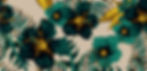 About Kamila Lash Studio-01.jpg