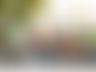 The Senior Stretch: Navigating the Final Years of College as a Parent