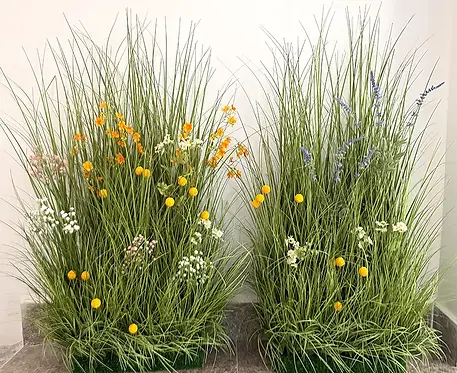 Clothing-Store -Displays.webp