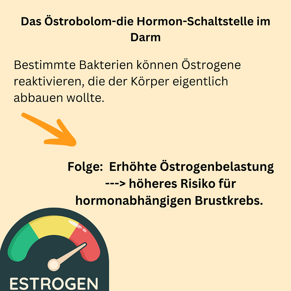 Brustkrebs und Darmmikrobiom: Einfluss der Darmflora auf das Krebsrisiko
