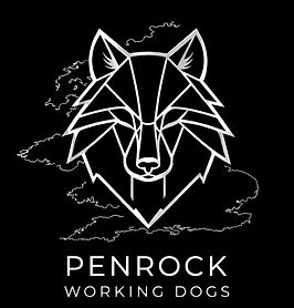 PENROCK LOGO - WIDE_edited_edited.jpg