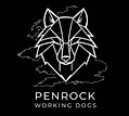 PENROCK LOGO - WIDE.jpeg