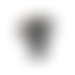 SEGWAY scooters électriques