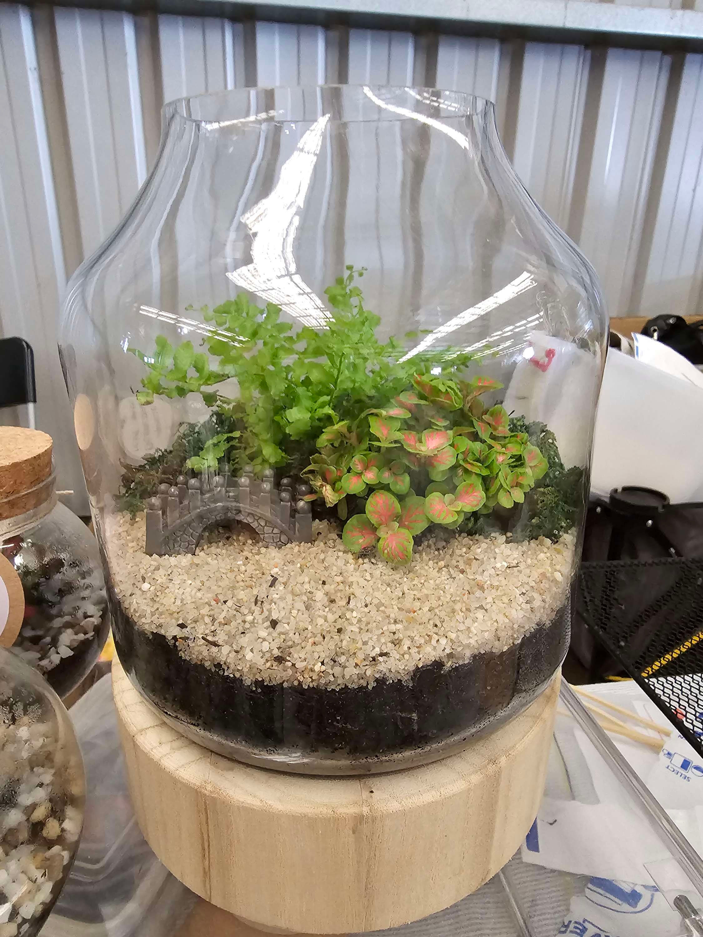 Terrarium T71d