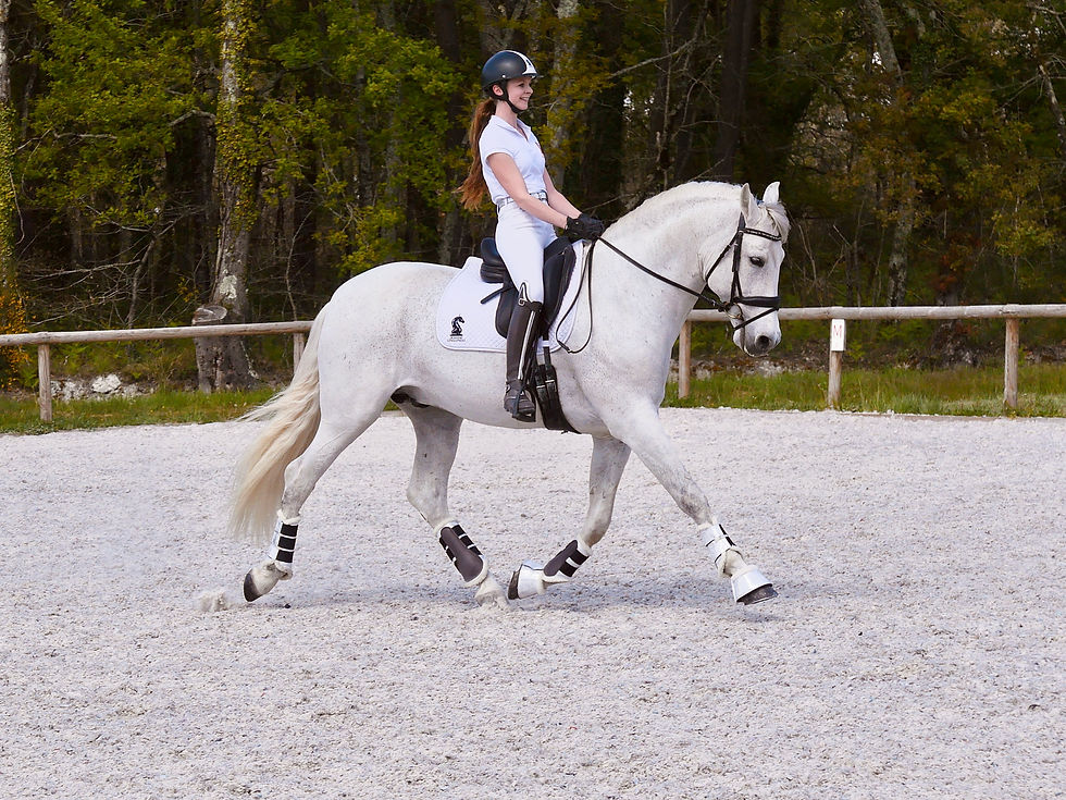 Apprendre pour apprendre, la répétition à cheval ?