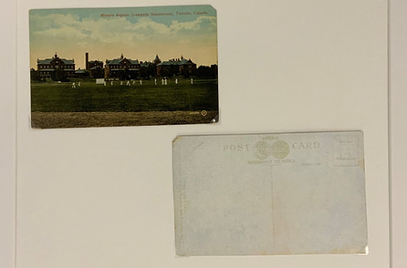 Cricket Pitch postcard, front and back