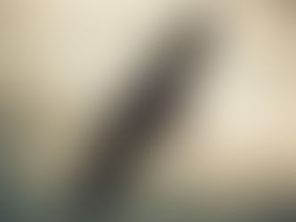 【ICGレポートVOL.901】 ゴールドマンが米株式、強気に転換 24/11/2024