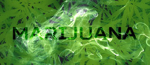 CANNABIS - Fluch oder Segen?